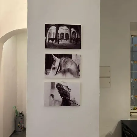 Piazza Del Campo - Del Mercato *