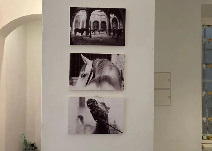 Piazza Del Campo - Del Mercato *